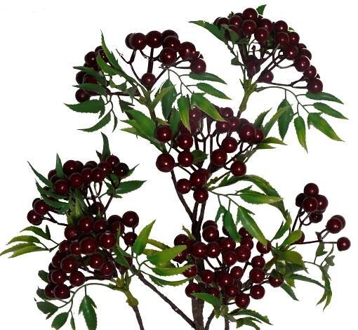 Silk Flowers