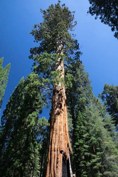 NP Death Valley, Yosemite a Sequoia – Martin Cígler