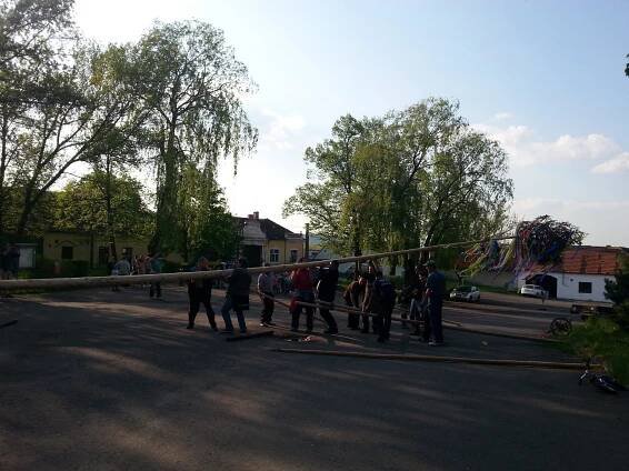 majka_2014_09.jpg