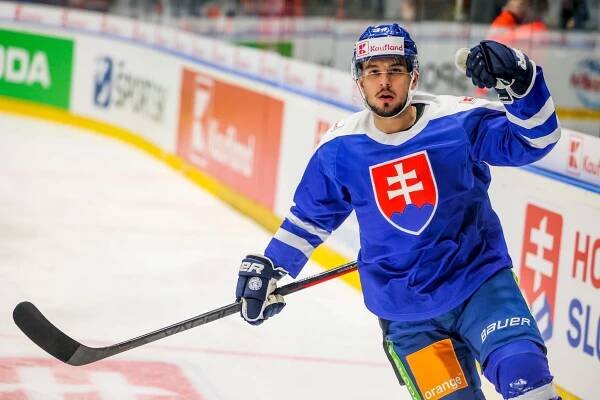 Slováci podľa Jedličku hrali proti Nemcom dobre, musia len premieňať gólové šance (video)