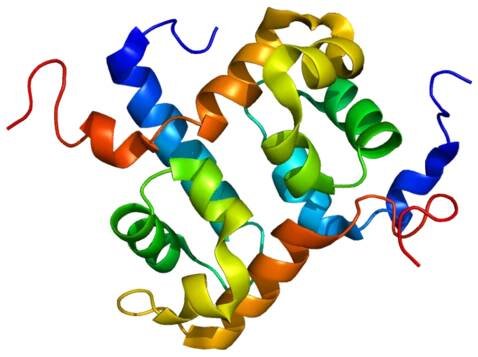 ERCC1 - Wikipedia