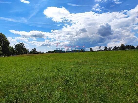 Prodej Pozemek, Lužnice, okres Jindřichův Hradec
