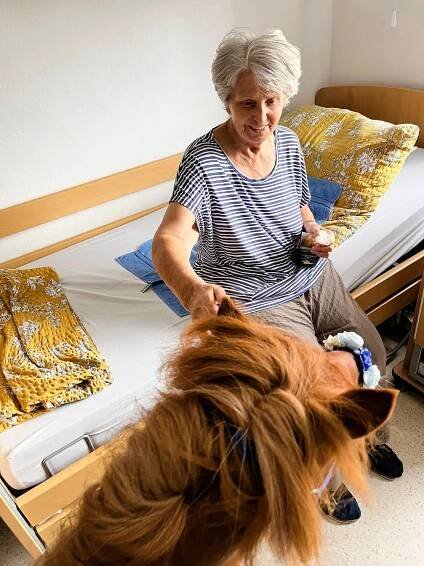 Ponyterapie Chelčice🐴 | Alzheimer Home