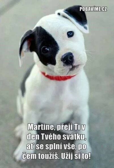 Přání k svátku pro Martina | Pobavime.cz