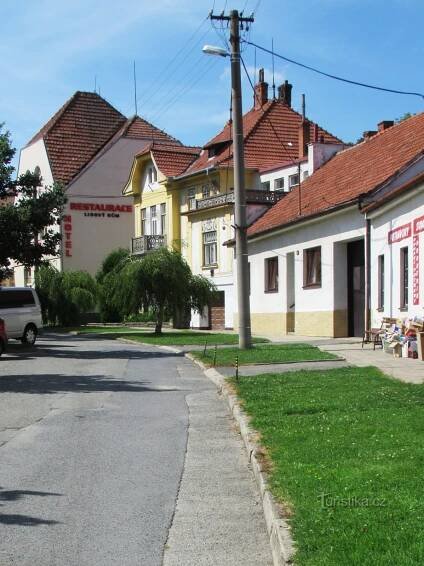 Procházka Lysicemi