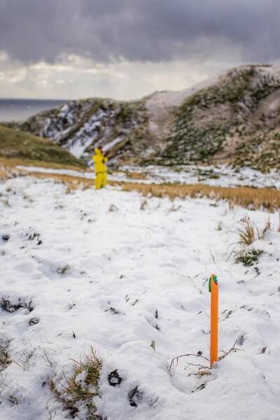 Vegetation monitoring plot at Brothers Point under snow. Toe of landslide has flattened grass but not the marker stake.