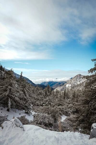 Mount Baldy: A Scenic Hiking Destination In California - California Unpublished