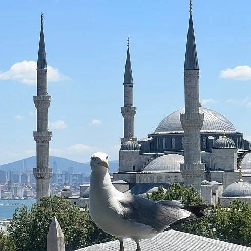 HOTEL ARCADIA BLUE - Updated 2025 Prices & Reviews (Istanbul, Türkiye)