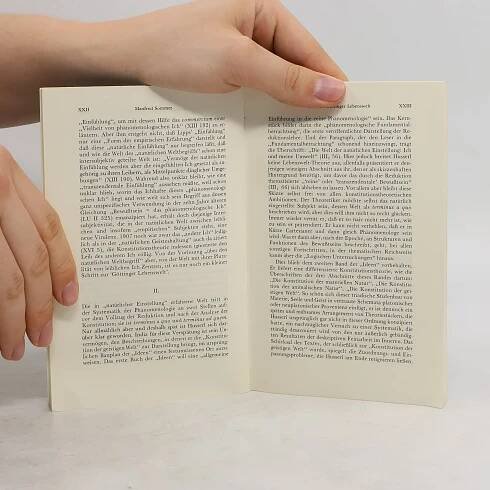 Die Konstitution der geistigen Welt - Edmund Husserl - knihobot.cz