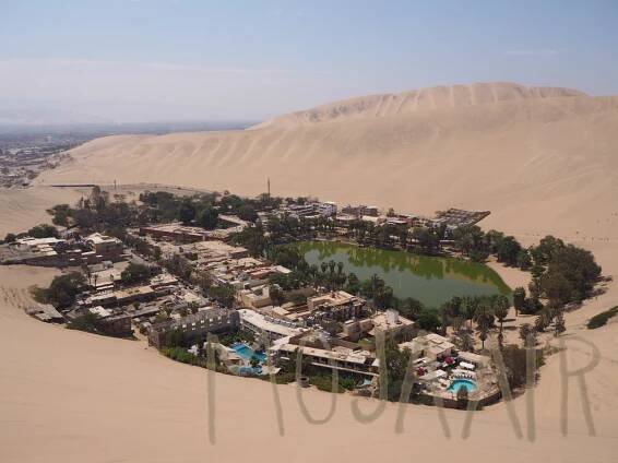 oasis