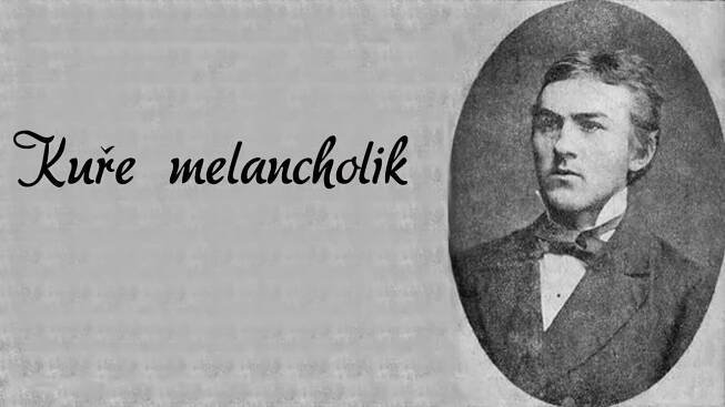 Josef Karel Šlejhar - Kuře melancholik
