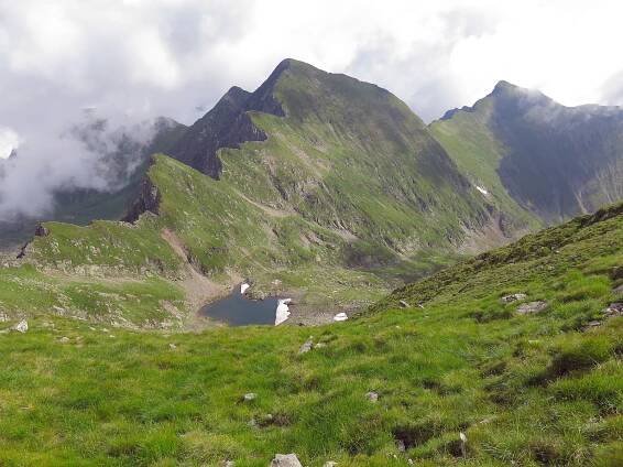 Faragas Mountains Gallery | Baxter Nature