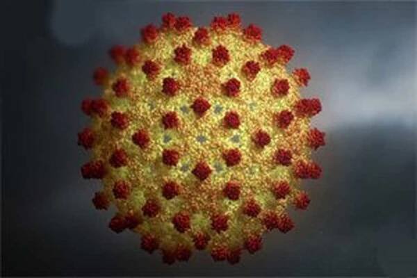 Hepatitida B / Hepatitida