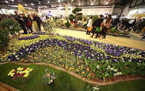 Slevomat: Drážďany: výstava orchidejí a... - Skrz.cz
