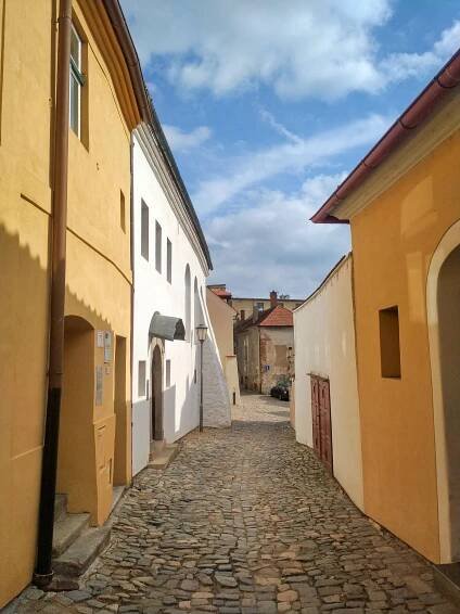 Informační a turistické centrum Zadní synagoga foto 6