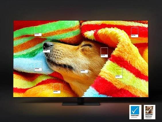Samsung QE65S85D - Elektro Urbánek