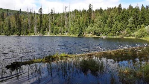 Jezero Laka na Šumavě – Trasa a nejlepší průvodce