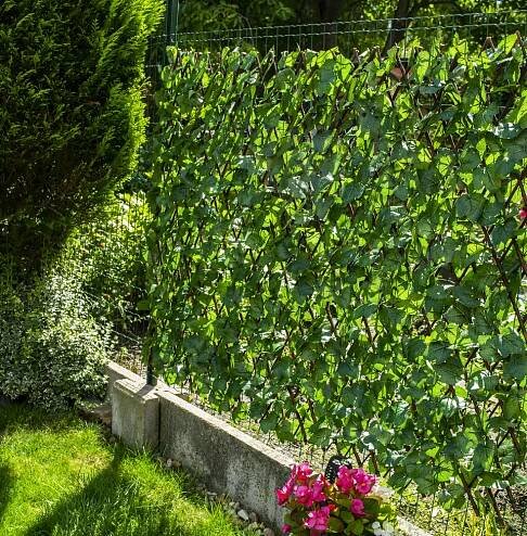 Garden King Umělý živý plot HEDERA FLEXI 200 x 100 cm Kód výrobce 7231-P