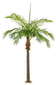 Umělá palma datlovník STEVEN, 420cm