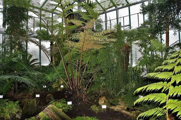 Botanická zahrada Liberec.