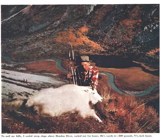 A color photo of Fred Bear with a mountain goat.