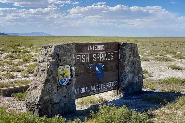 Juab County: Where Every Bird Tells a Story - Birding in Juab, UT