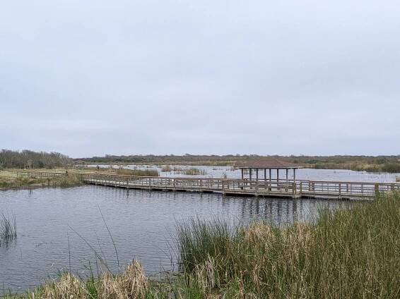 View of the Big Slough Boardwalk Trail in Freeport Texas