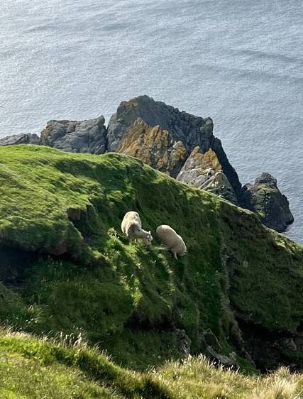 Shetlandy a Orkneje | expeditionclub.cz