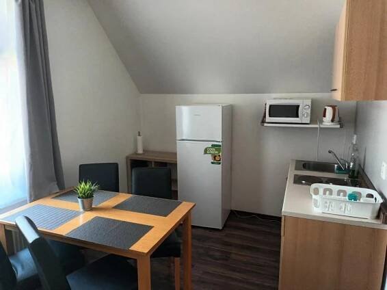 Kuchyň nebo kuchyňský kout v ubytování Vila Pavlínka apartmány Losiny