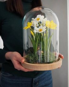 Deko mit Blumenzwiebeln selbst gestalten: Im Glas, in der Dekoschale oder hängend