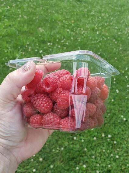 Raspberry Lemon Refresher: A 4 Ingredient Recipe – Green Pig Farm