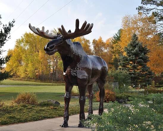 THE 15 BEST Minnesota Visitor Centers (2025) - Tripadvisor