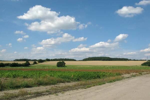 Stará Lysá, letní krajina [5420]