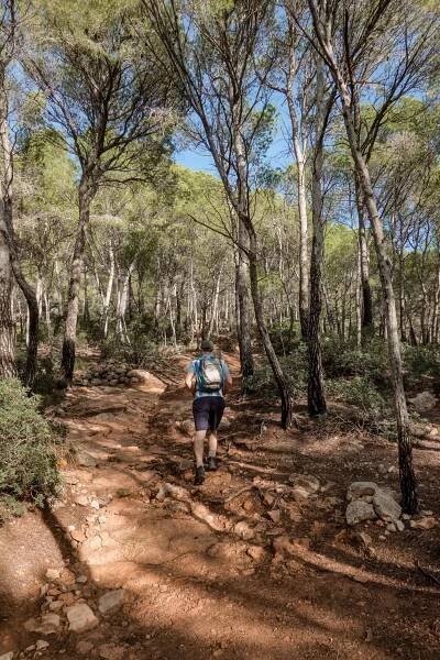 Dan hikes from Sant Elm to La Trapa on a forest trail in Mallorca