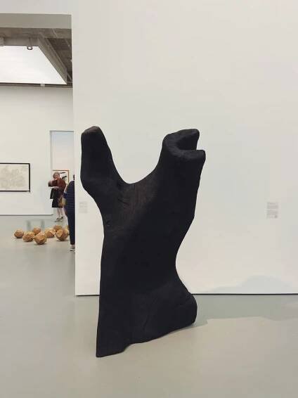 CHAPTER 2 x David Nash