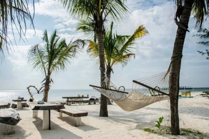 Zanzibar - dovolená, informace, zajímavosti - iCesty.cz