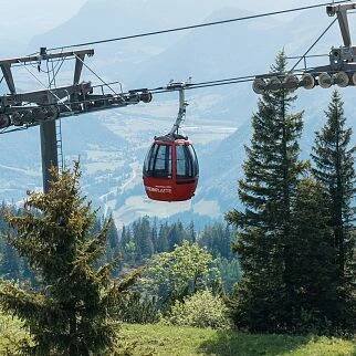 /media/gridteaser/steinplatte-waidring-sommer-ringler-stefan-11.webp