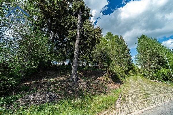 Prodej Pozemek, Hlinsko - Blatno, okres Chrudim
