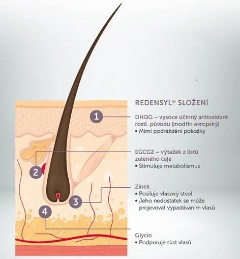 Revalid Regrowth Serum 50 ml