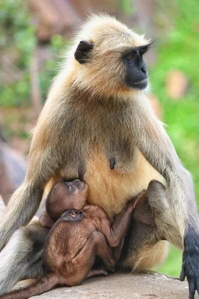 Blog — The Lovely Mother