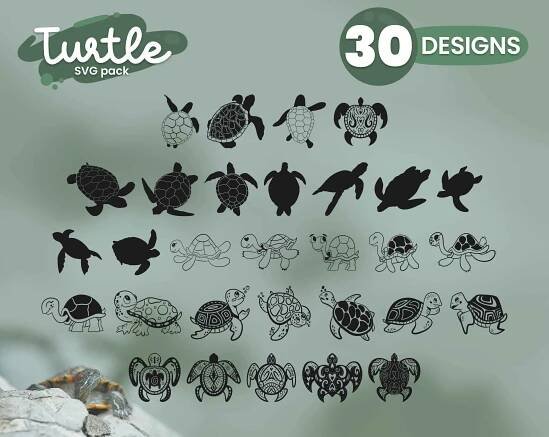 Turtle SVG Pack