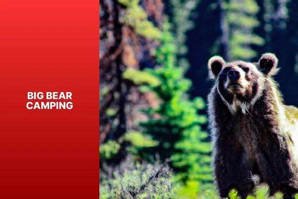 Big Bear Camping