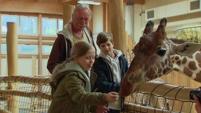 ZOO - epizoda Zasloužený odpočinek online