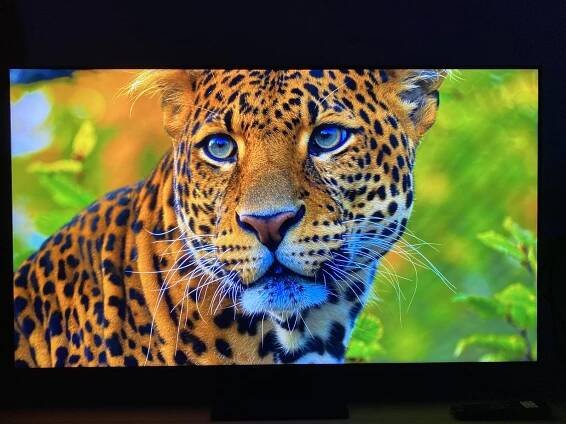 Recenze 55" TCL 55C765 | Alza.cz 