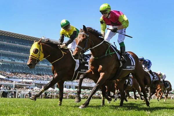 Robbie Dolan winning the Melbourne Cup horse race.
