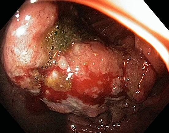The Gastrolab Image Gallery