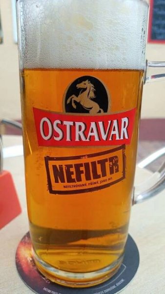 Restaurace U Zlatého Lva foto 4