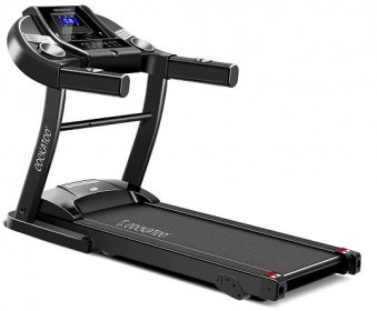 cockatoo treadmill
