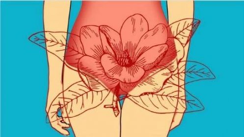 Nejdůležitější byliny na ženské potíže - menstruace, klimakterium, myomy, cysty, výhřez dělohy, porod, fytoestrogeny