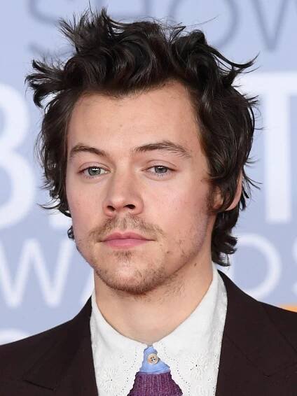 Harry Styles - Actor